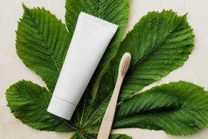 white organic toothpaste tube and bamboo toothbrush on green leaf